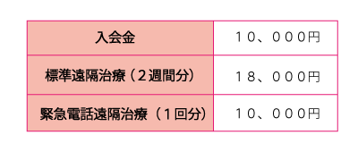 遠隔治療の施術料金